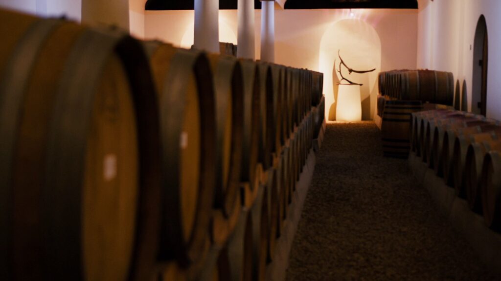 Gourmet tour in Italy Culinary Piedmont